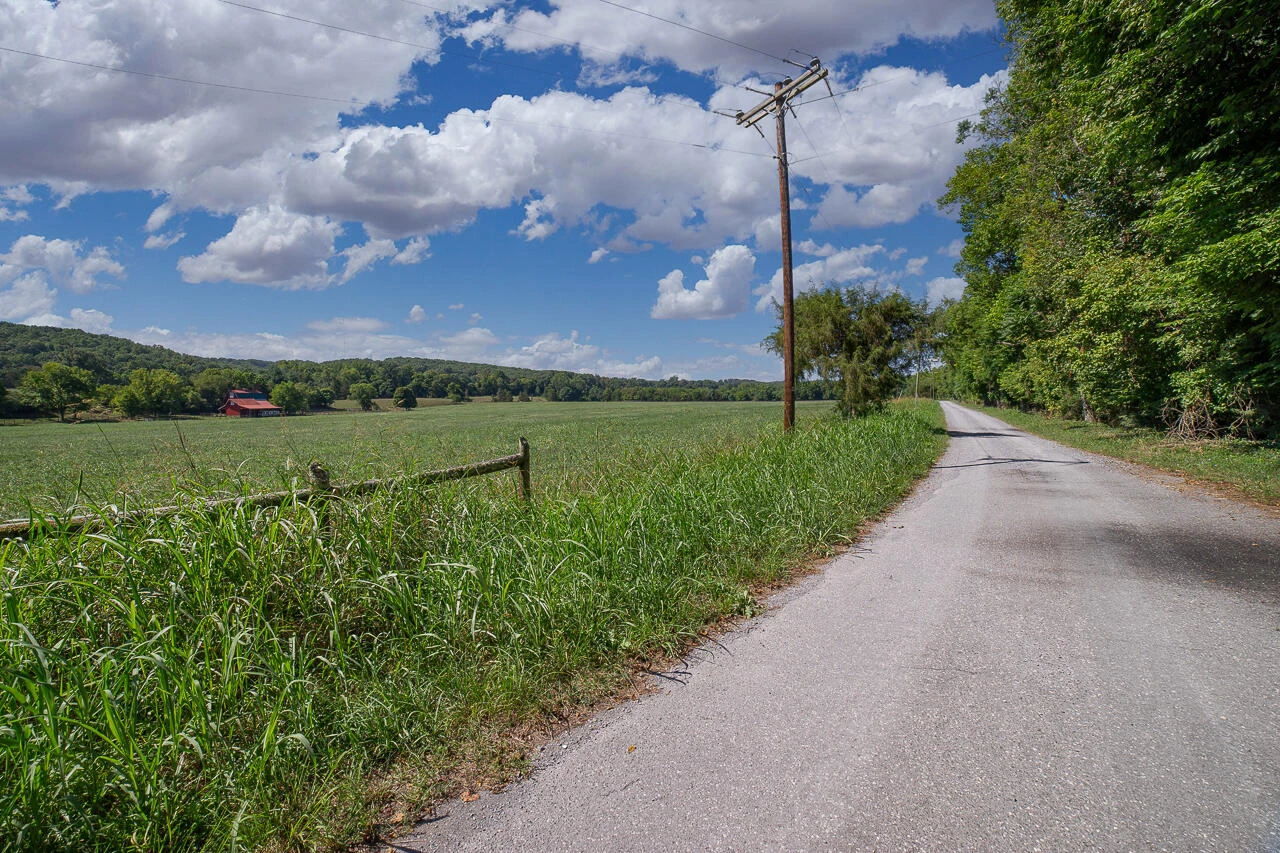 541 S River - Photo 9