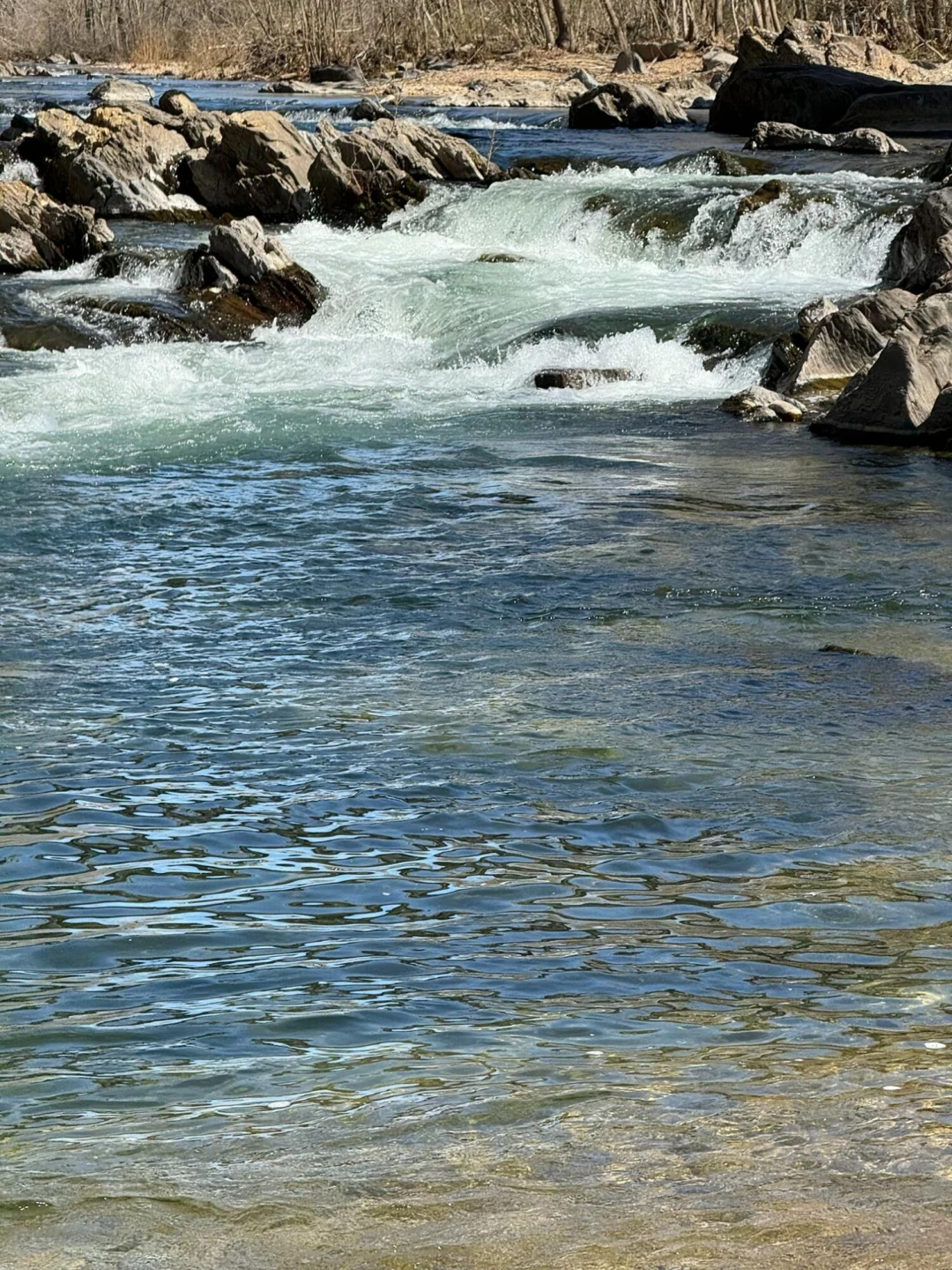 541 S River - Photo 64
