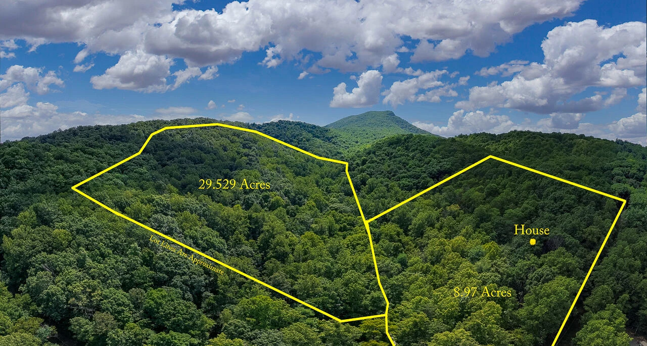 TBD 29.54 acres Hollow Ln