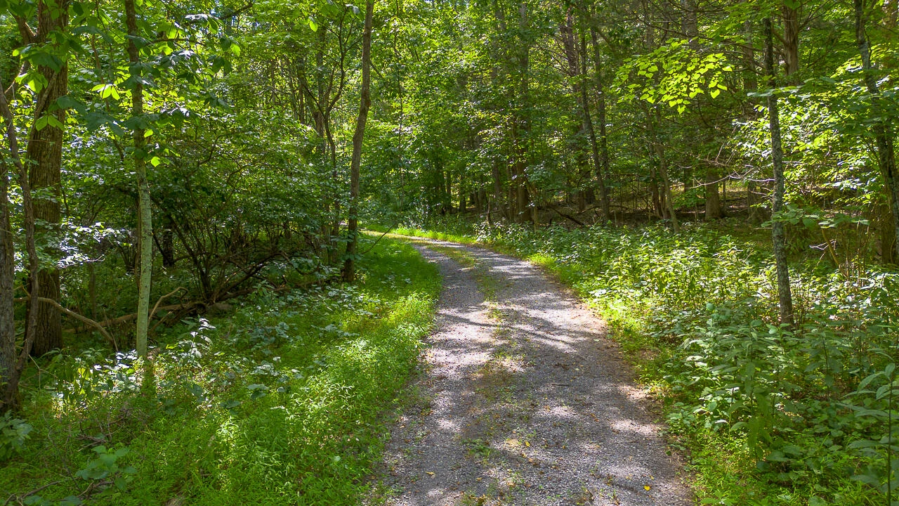 TBD 29.54 acres Hollow Ln - Photo 2