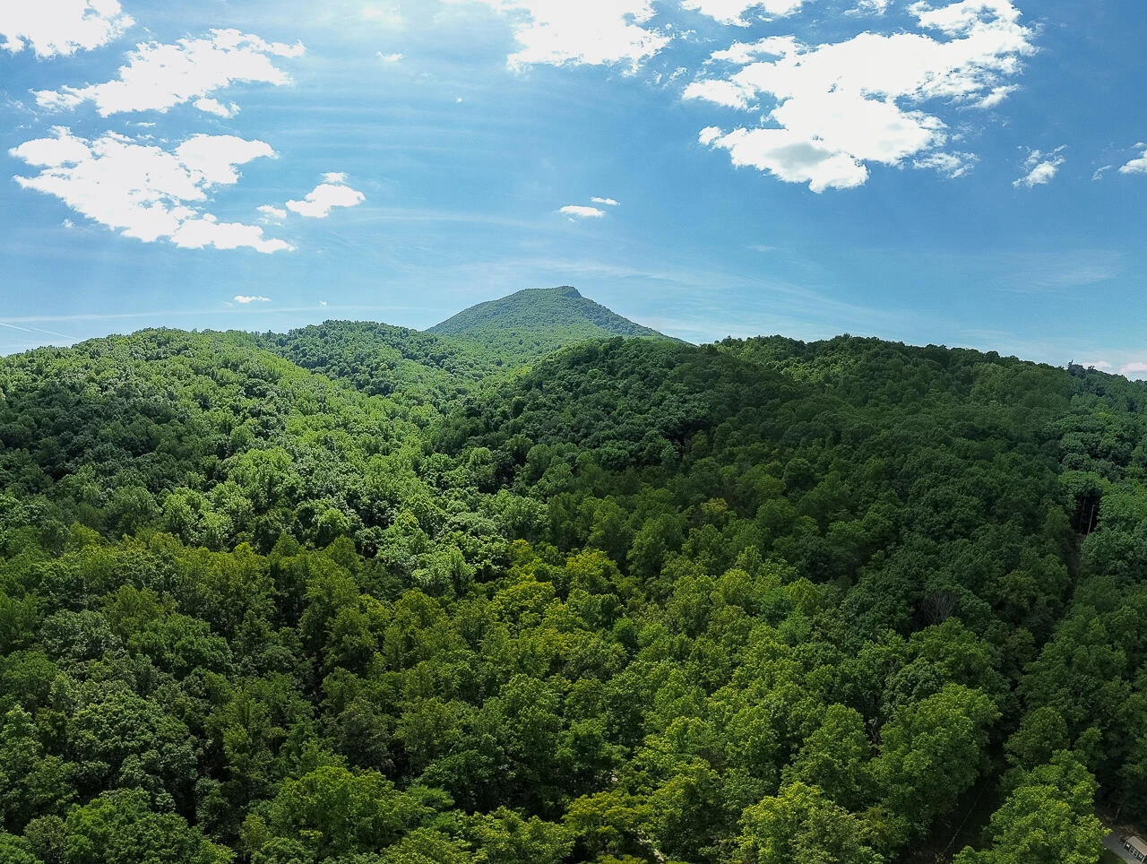 TBD 29.54 acres Hollow Ln - Photo 3