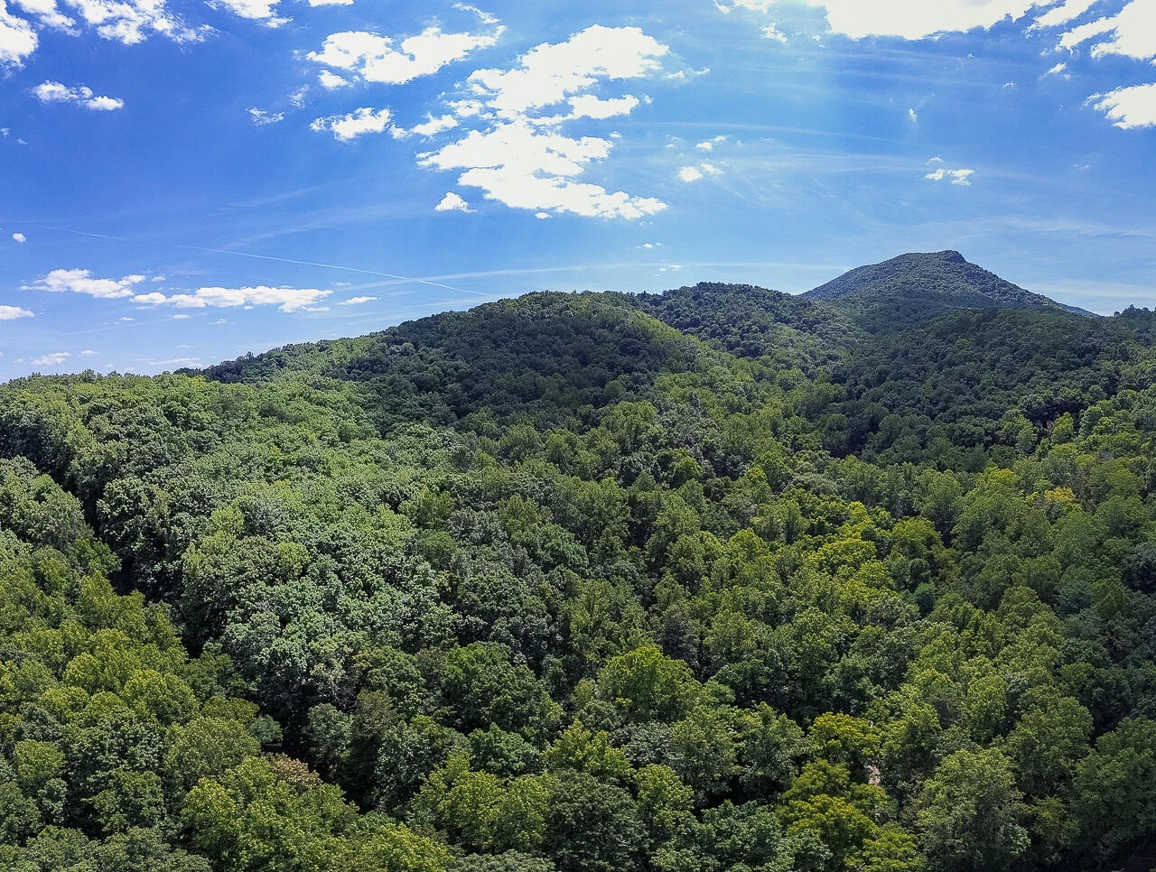 TBD 29.54 acres Hollow Ln - Photo 4