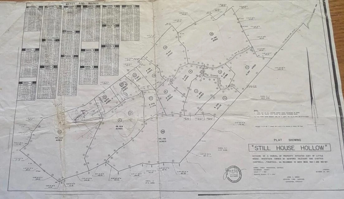 TBD 29.54 acres Hollow Ln - Photo 10
