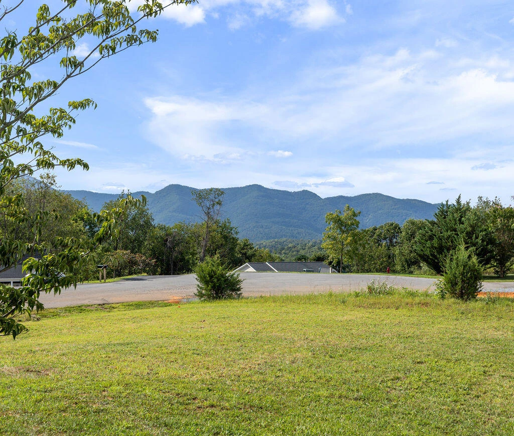 90 Spring Ridge Ln - Photo 3