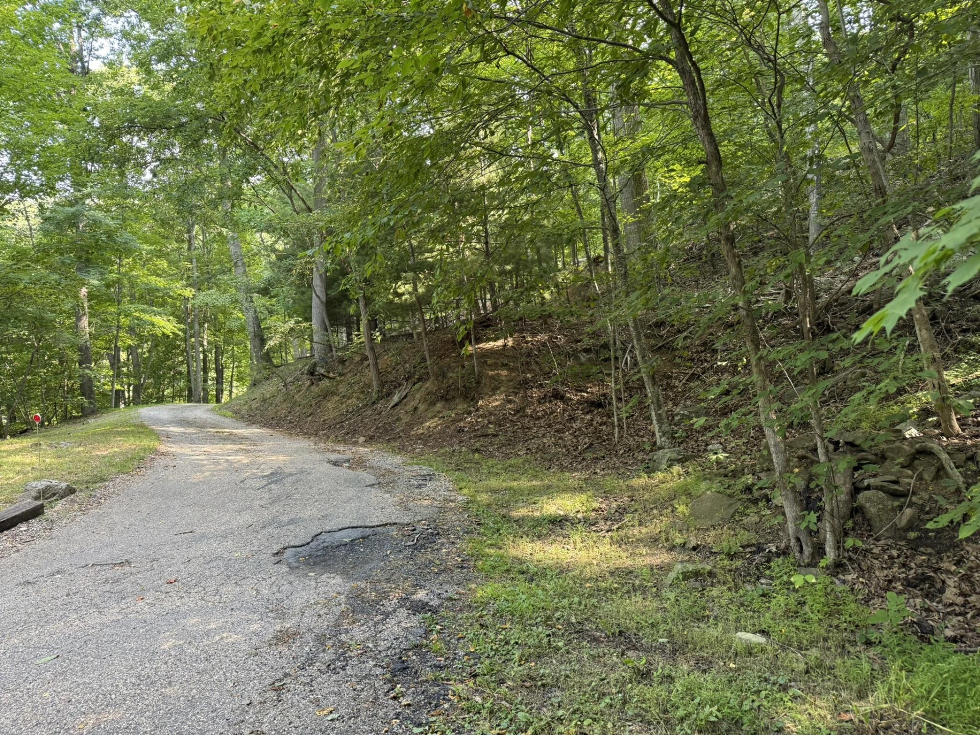 TBD Lodge Trl - Photo 2