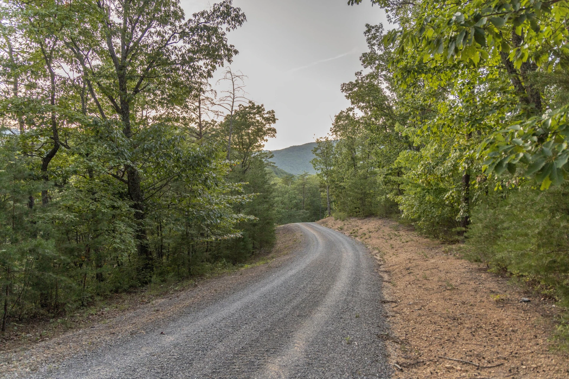 1601 Campbells Ln - Photo 80