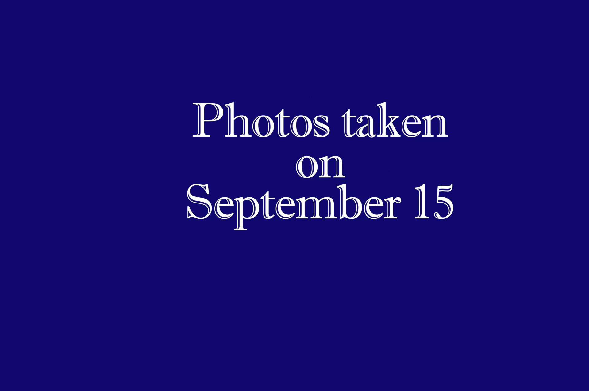 34 Florence Sarah Ln - Photo 70
