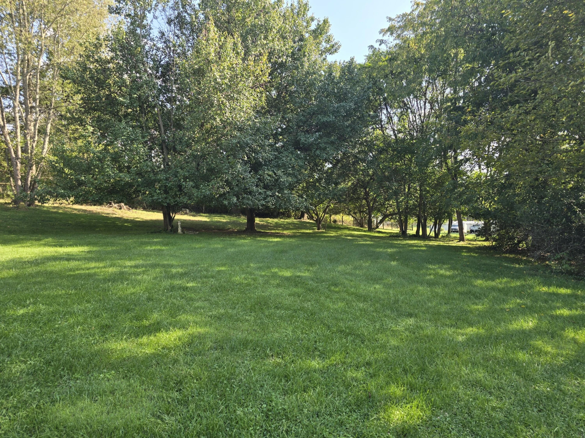 904 Decatur Rd - Photo 5