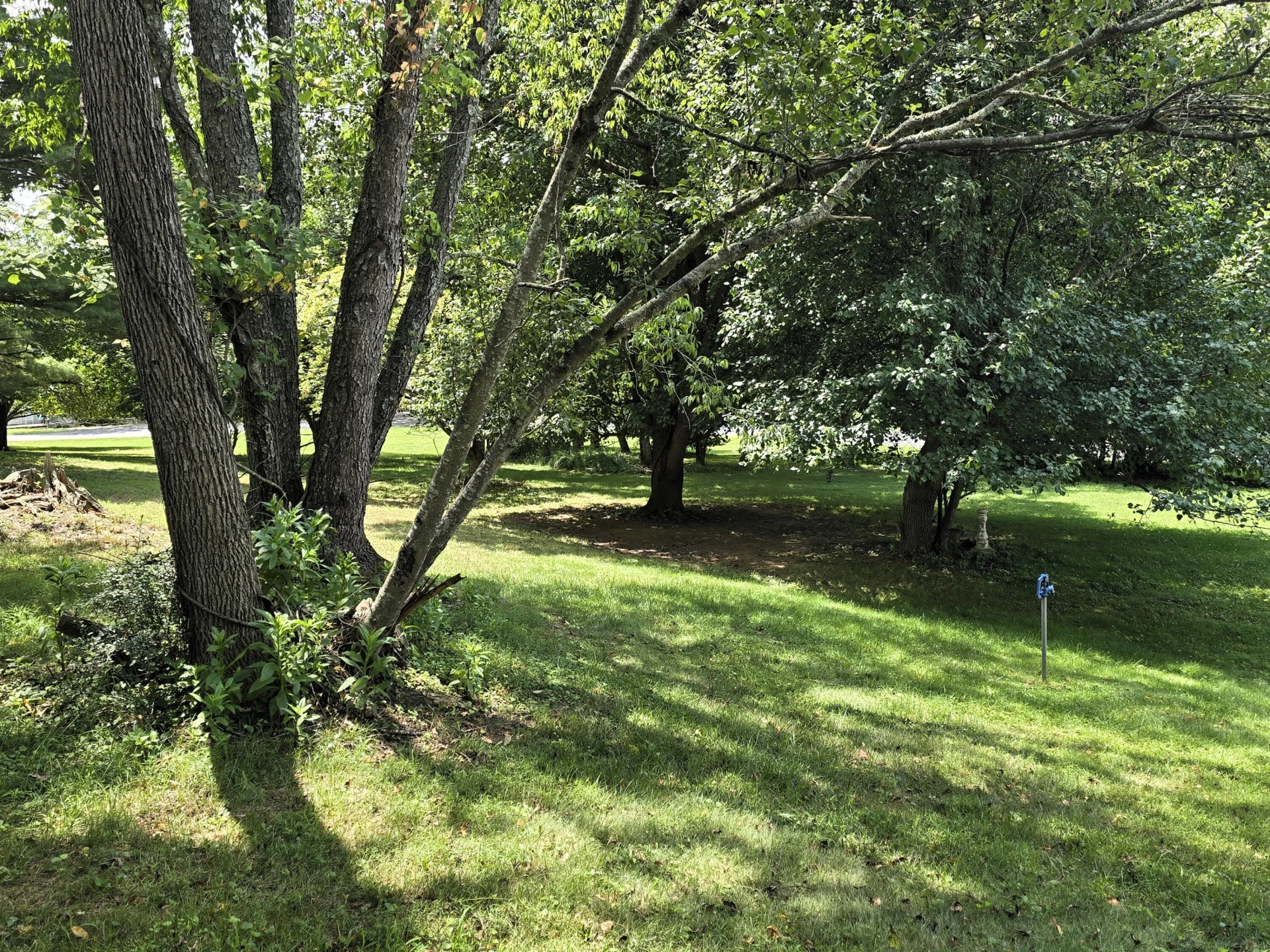 904 Decatur Rd - Photo 7
