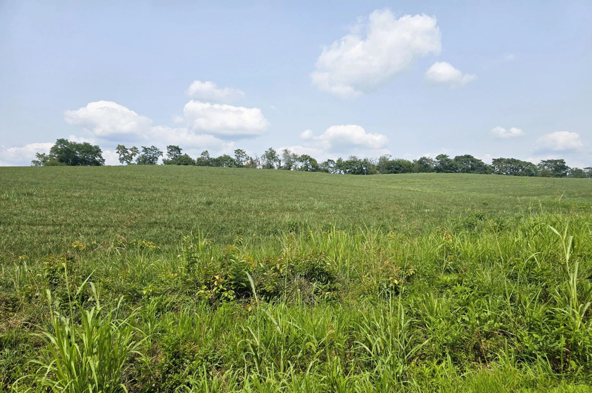 904 Decatur Rd - Photo 16