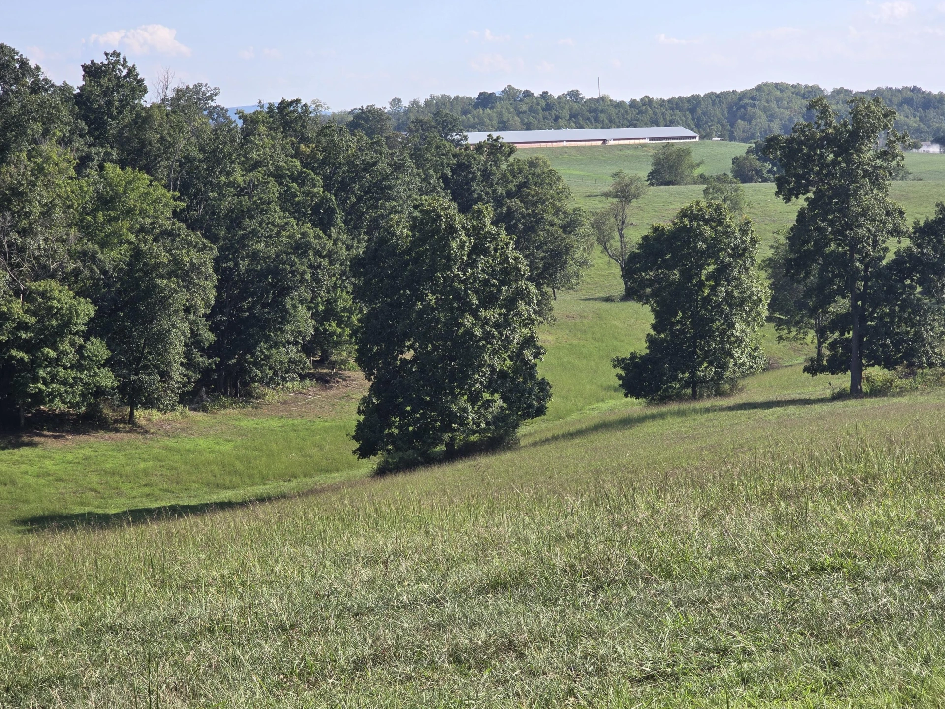 904 Decatur Rd - Photo 22