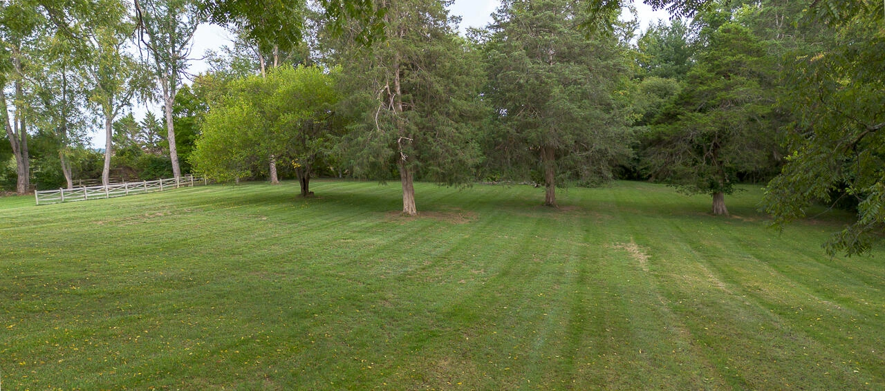 225 Alphin Ln - Photo 48