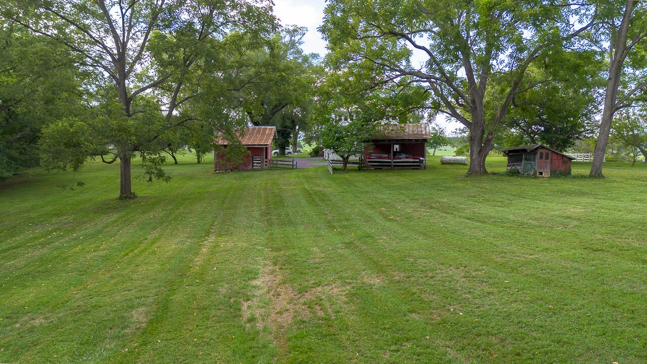 225 Alphin Ln - Photo 51