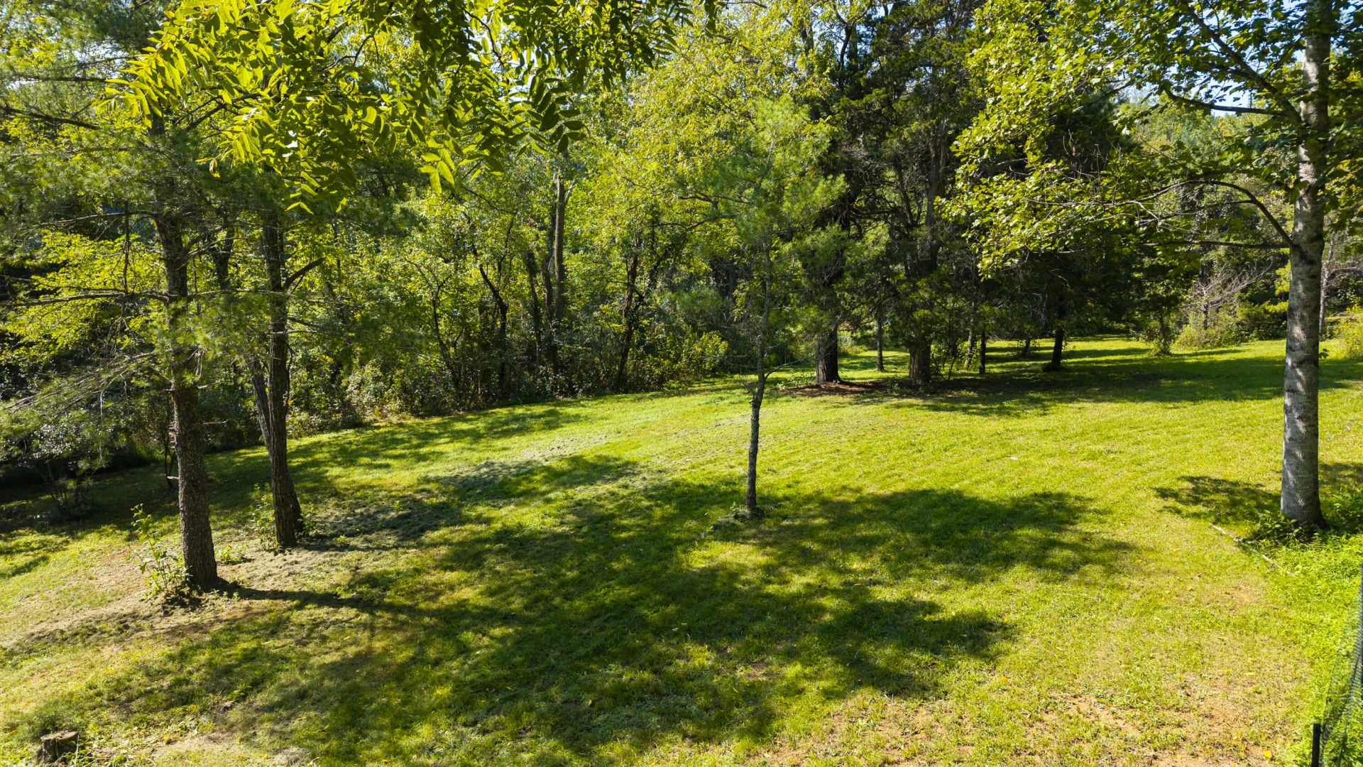 4302 PLANK Rd - Photo 5