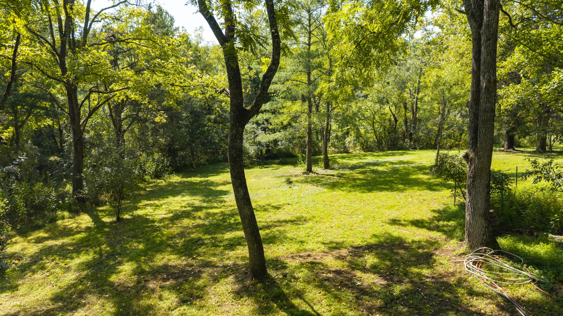 4302 PLANK Rd - Photo 6