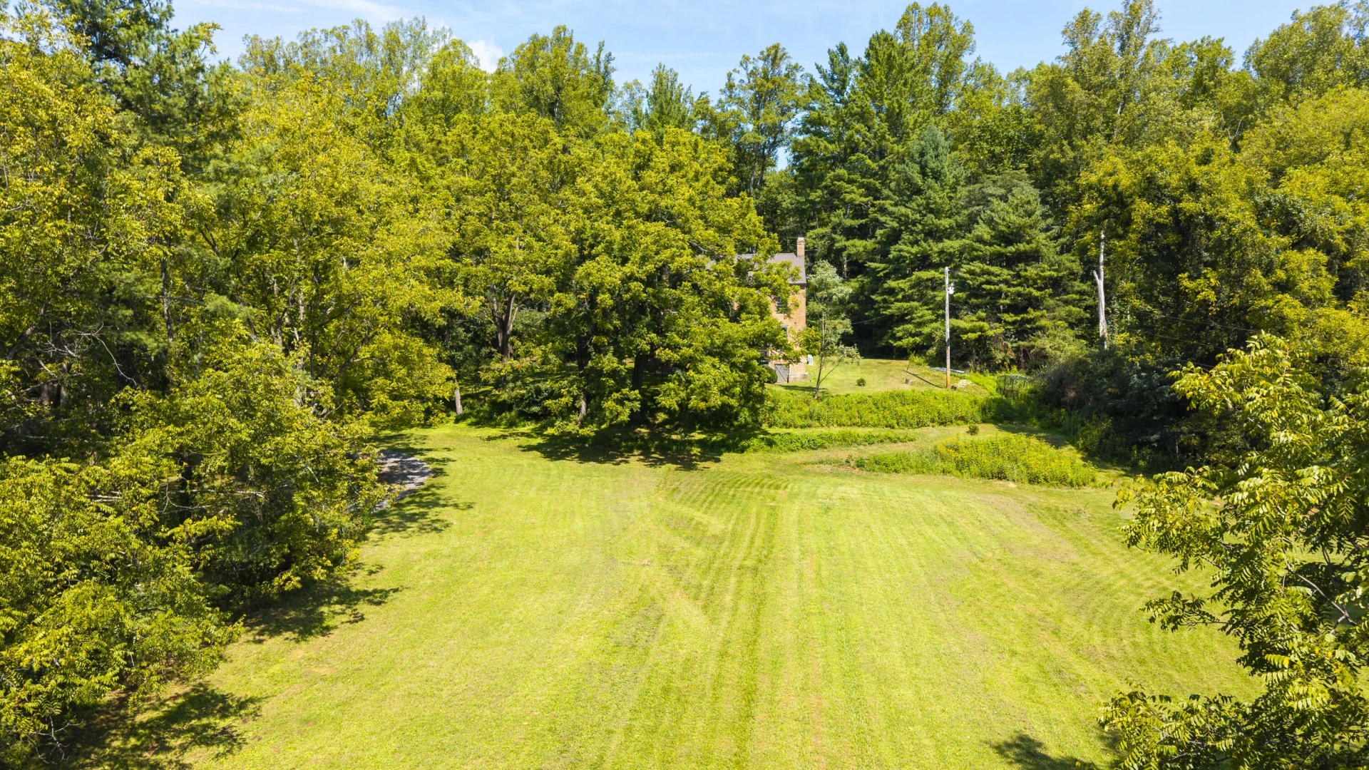 4302 PLANK Rd - Photo 7