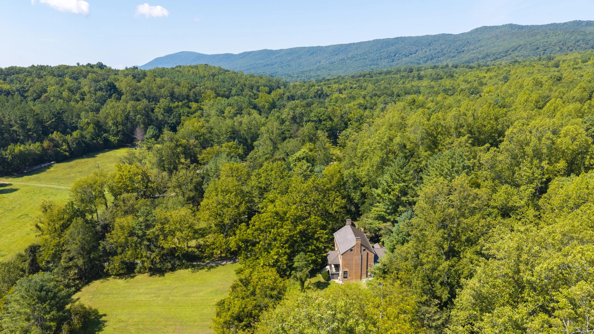 4302 PLANK Rd - Photo 9