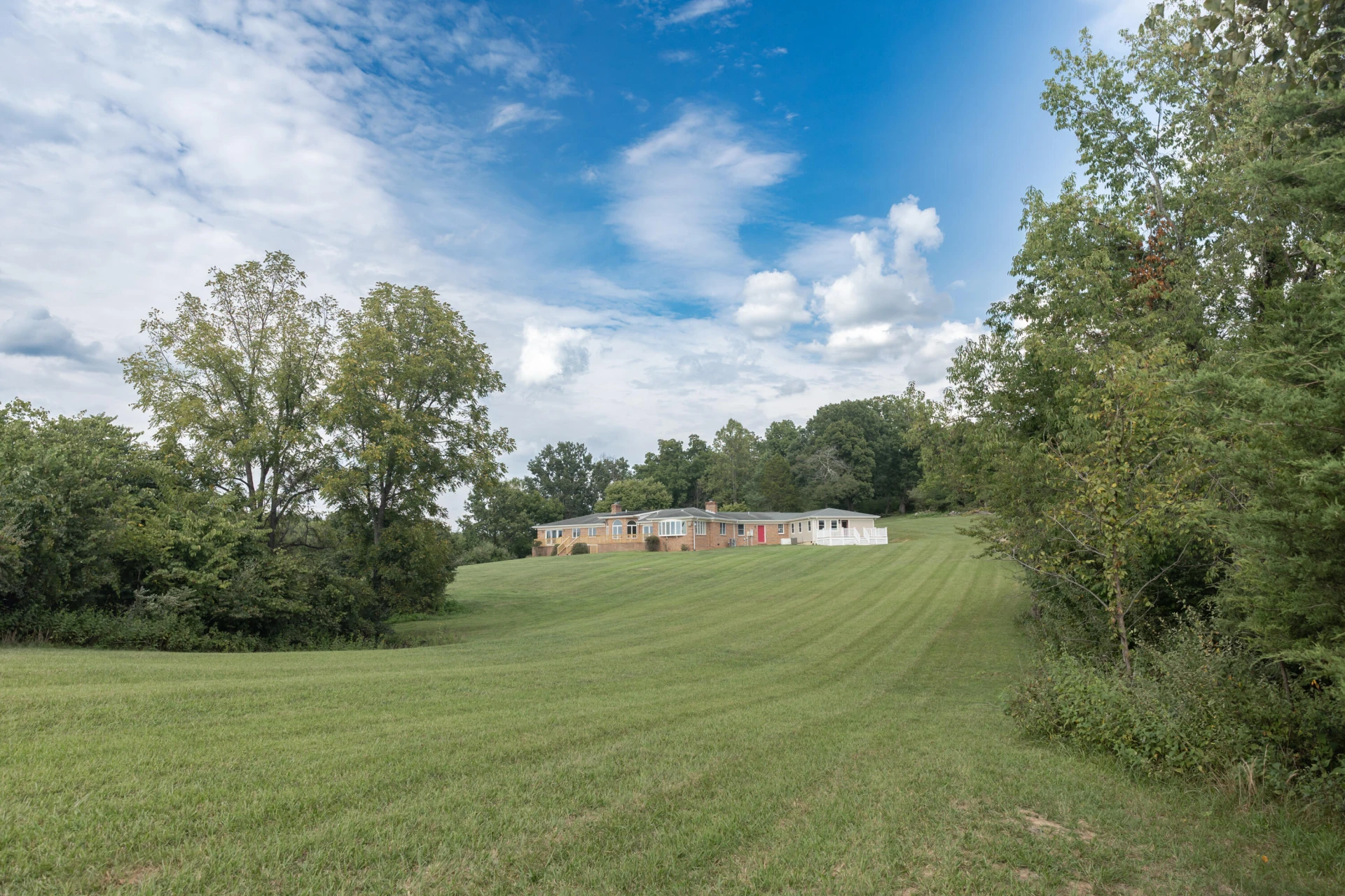 282 Gray Fox Ln - Photo 10