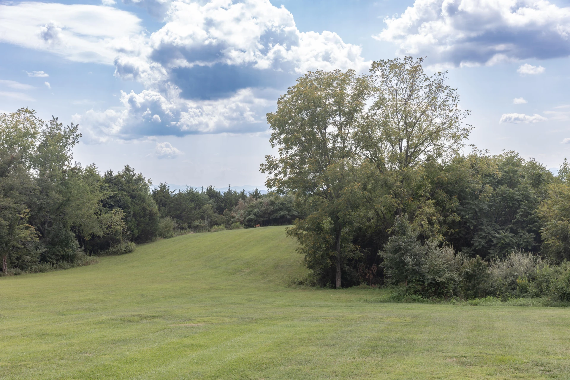 282 Gray Fox Ln - Photo 97