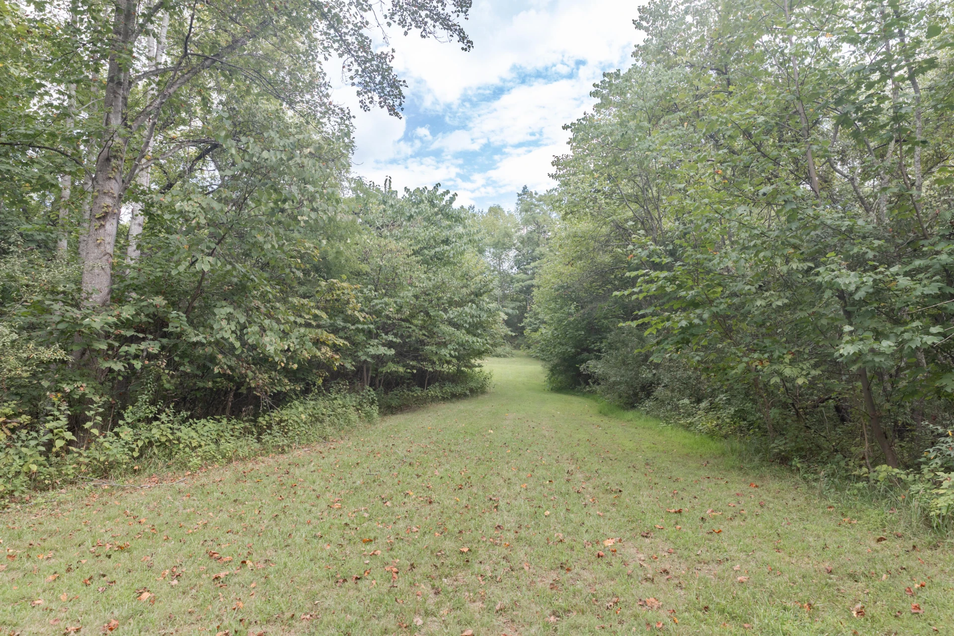 282 Gray Fox Ln - Photo 100