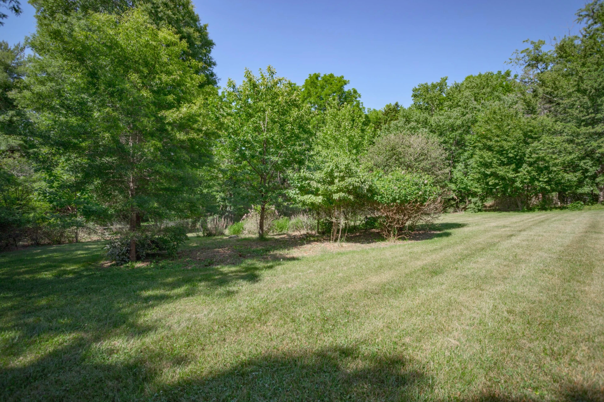 835 Ross Rd - Photo 64