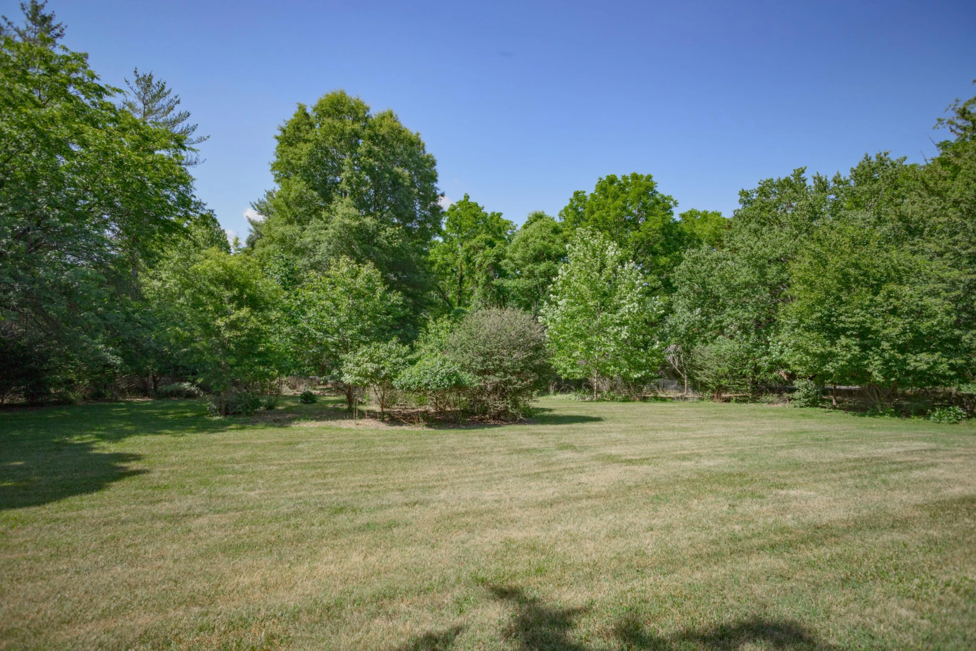 835 Ross Rd - Photo 65