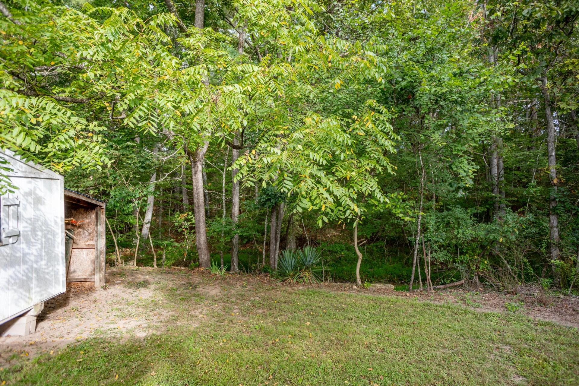 1737 LITTLE RIVER Rd - Photo 13