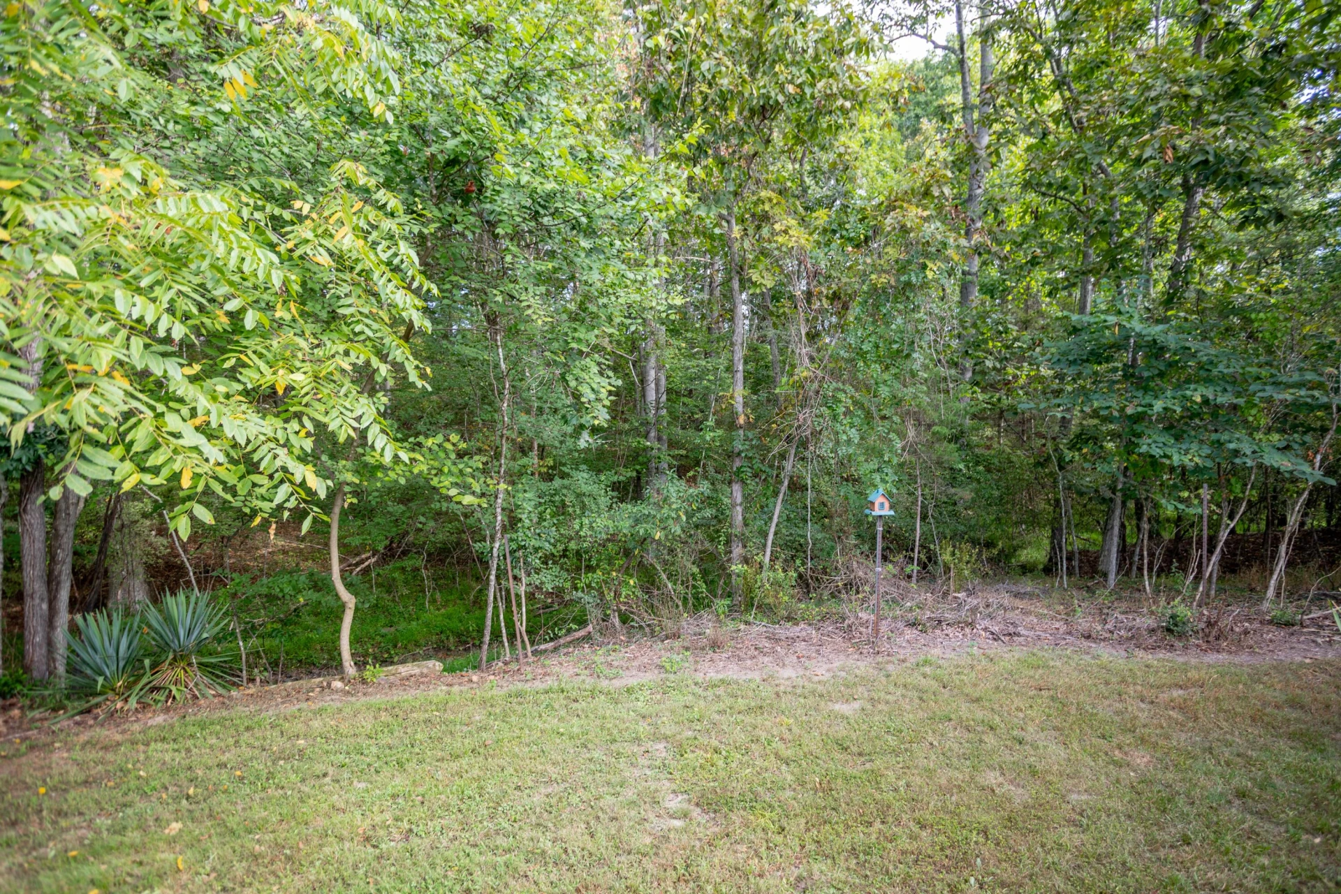 1737 LITTLE RIVER Rd - Photo 14