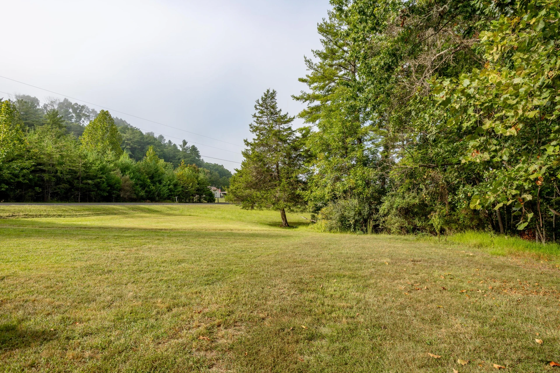 1737 LITTLE RIVER Rd - Photo 16