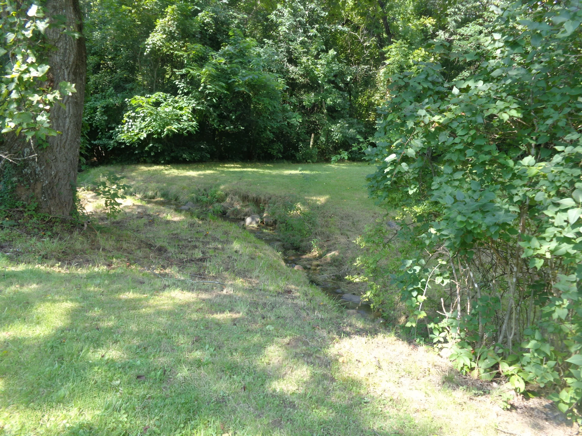 42 Powell Rd - Photo 3