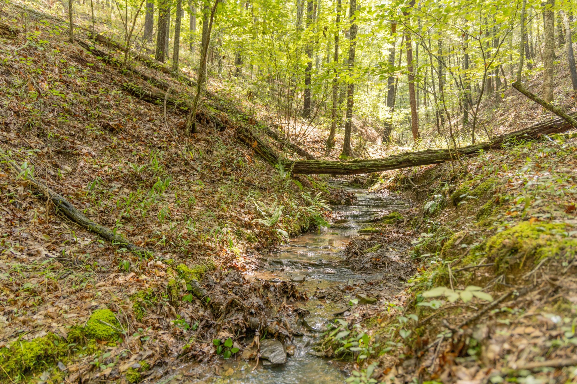 0 Crooked Spur Rd - Photo 10