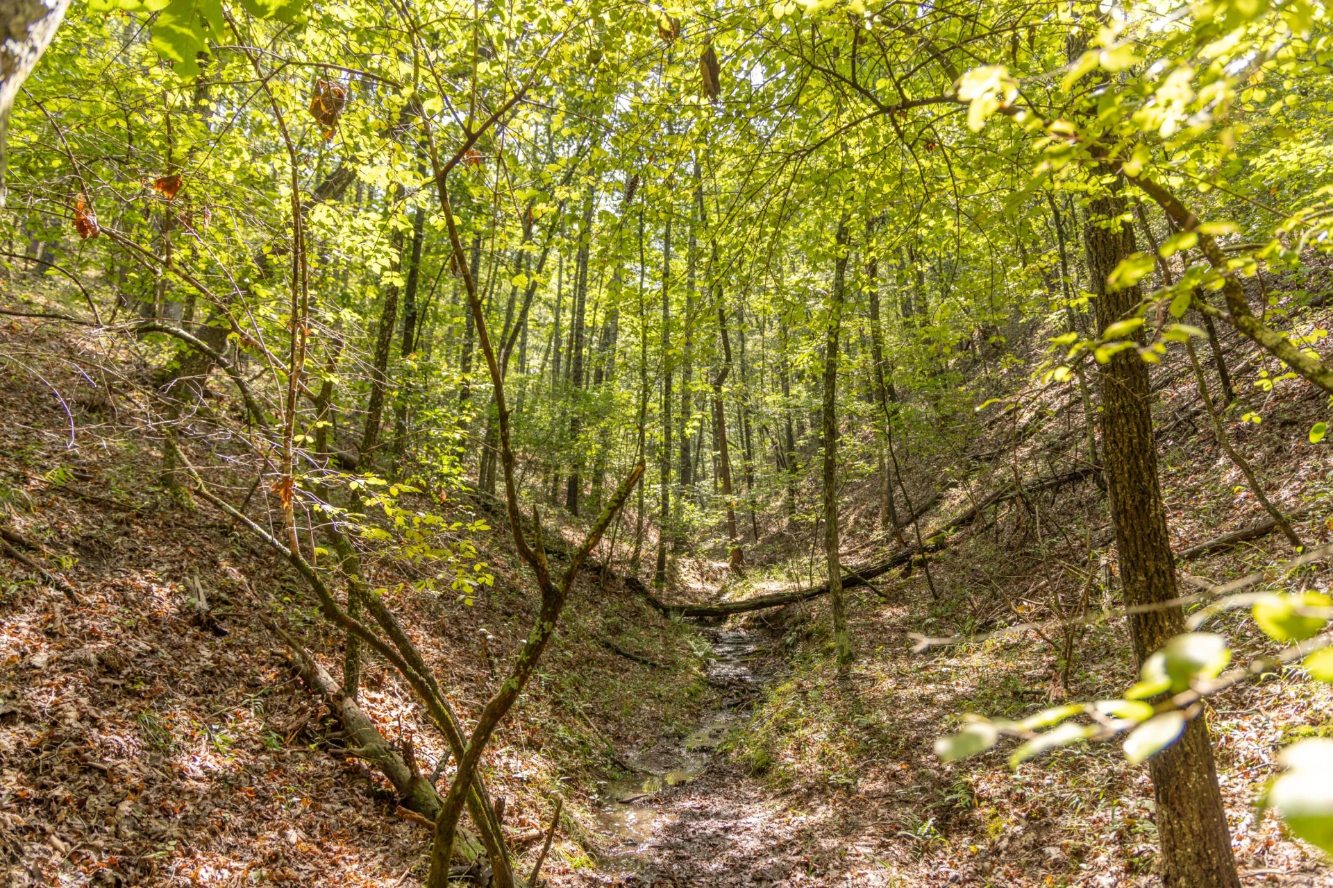 0 Crooked Spur Rd - Photo 12