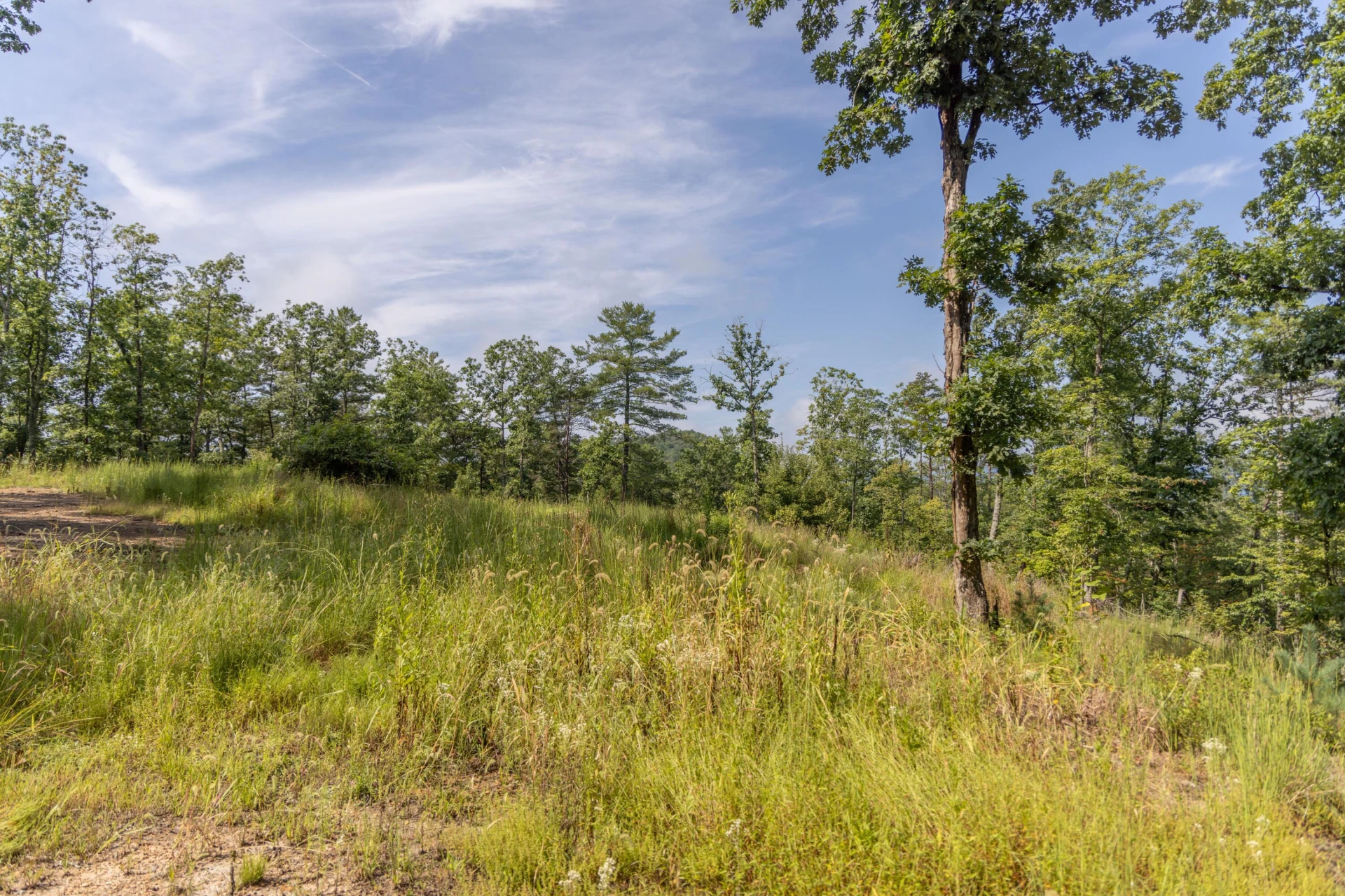 0 Crooked Spur Rd - Photo 14