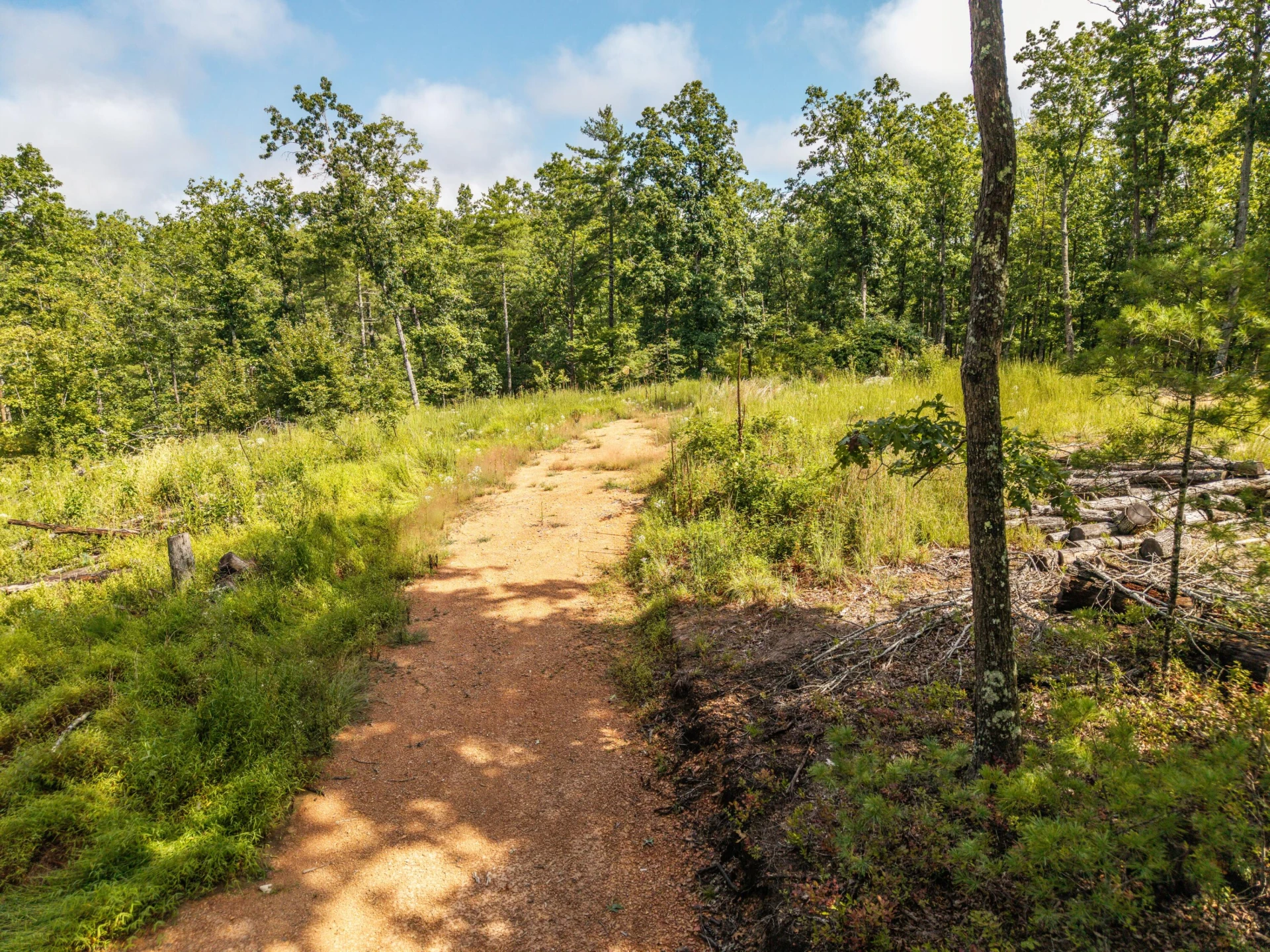 0 Crooked Spur Rd - Photo 16