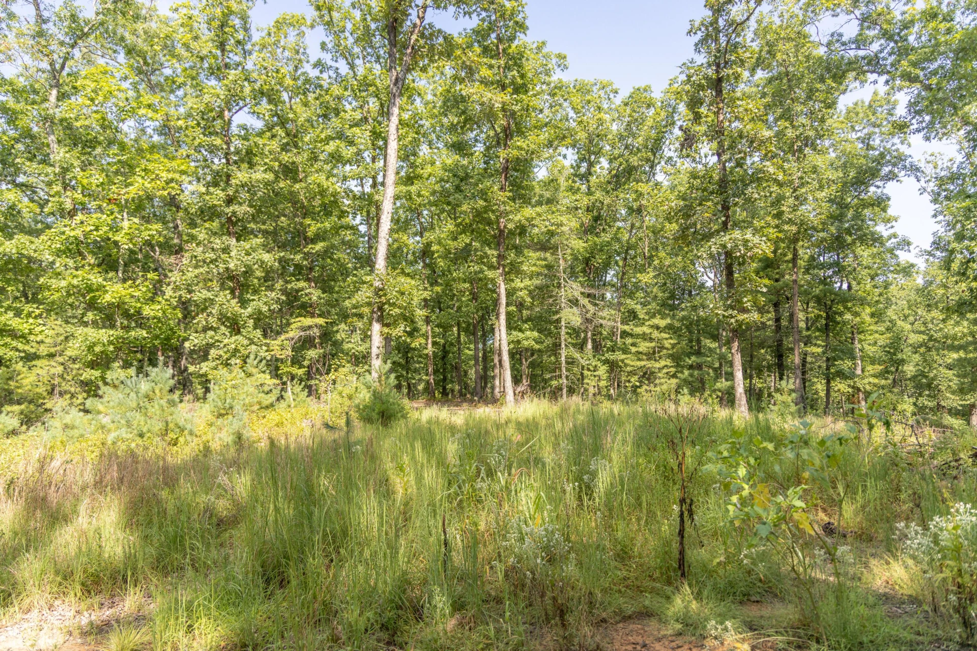 0 Crooked Spur Rd - Photo 18