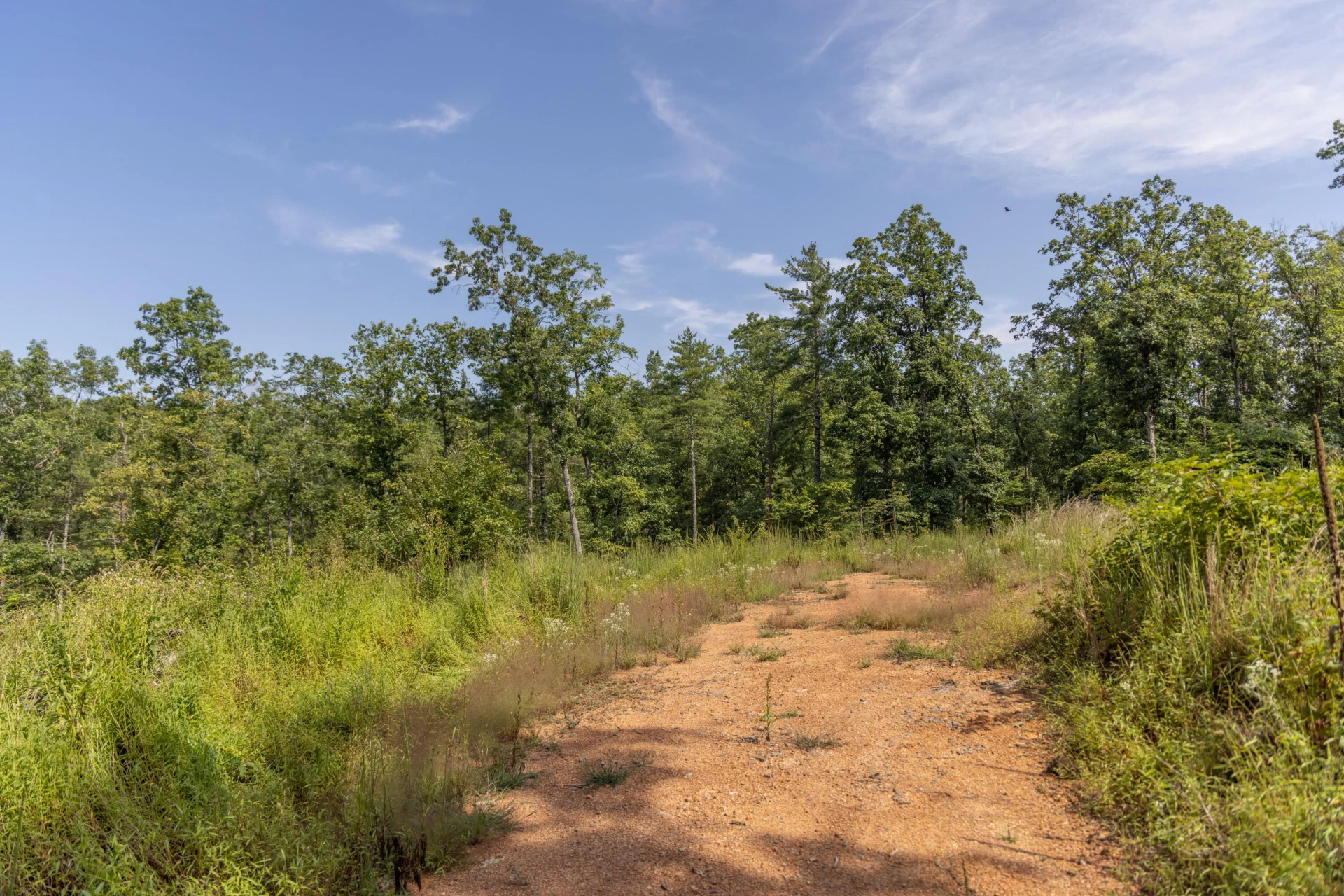 0 Crooked Spur Rd - Photo 19