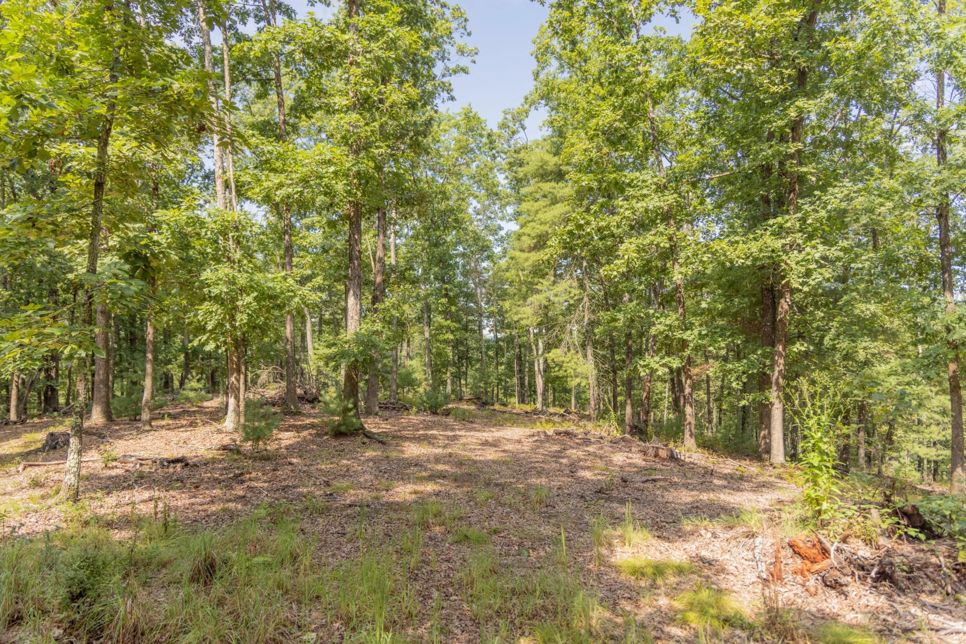 0 Crooked Spur Rd - Photo 20