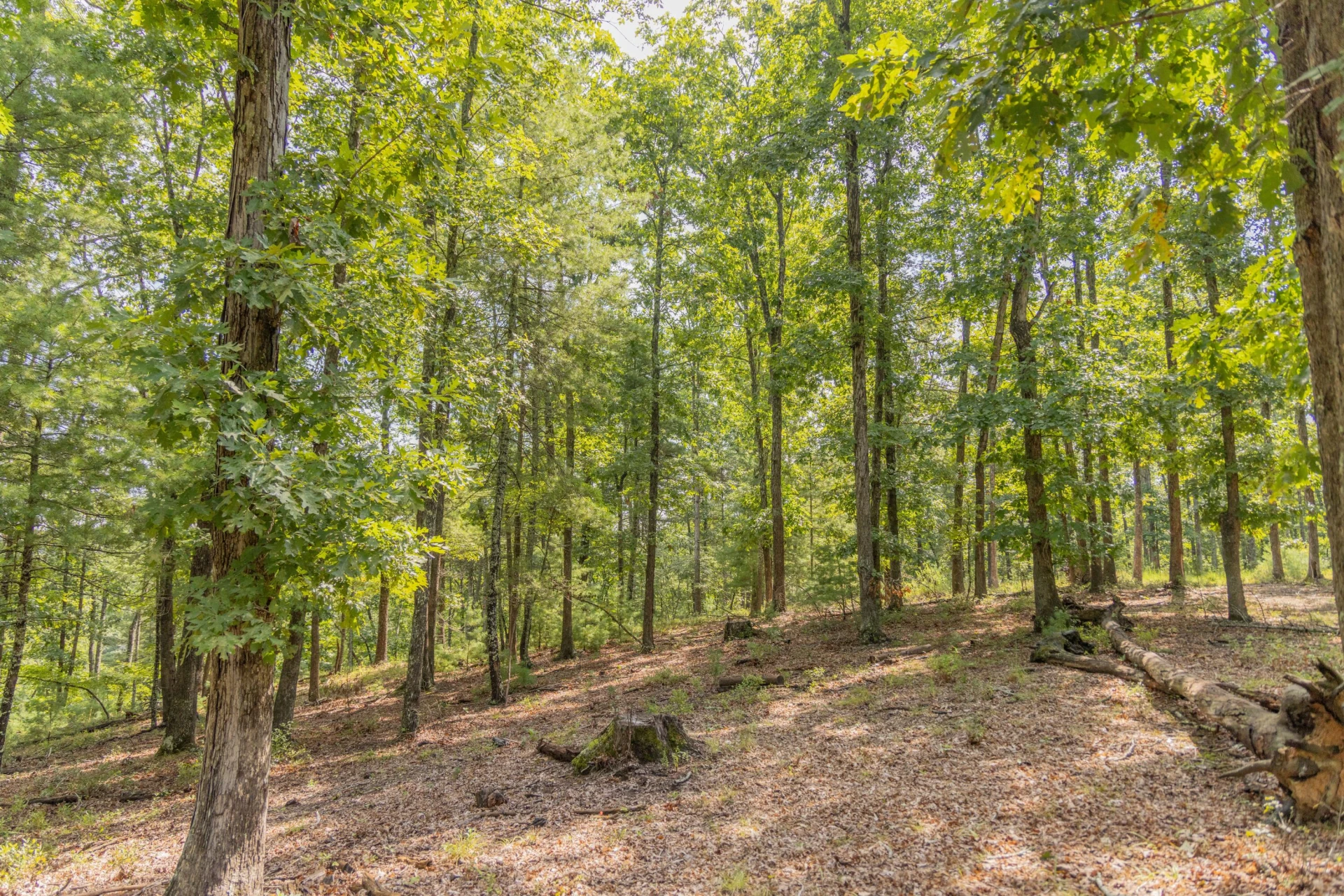 0 Crooked Spur Rd - Photo 21