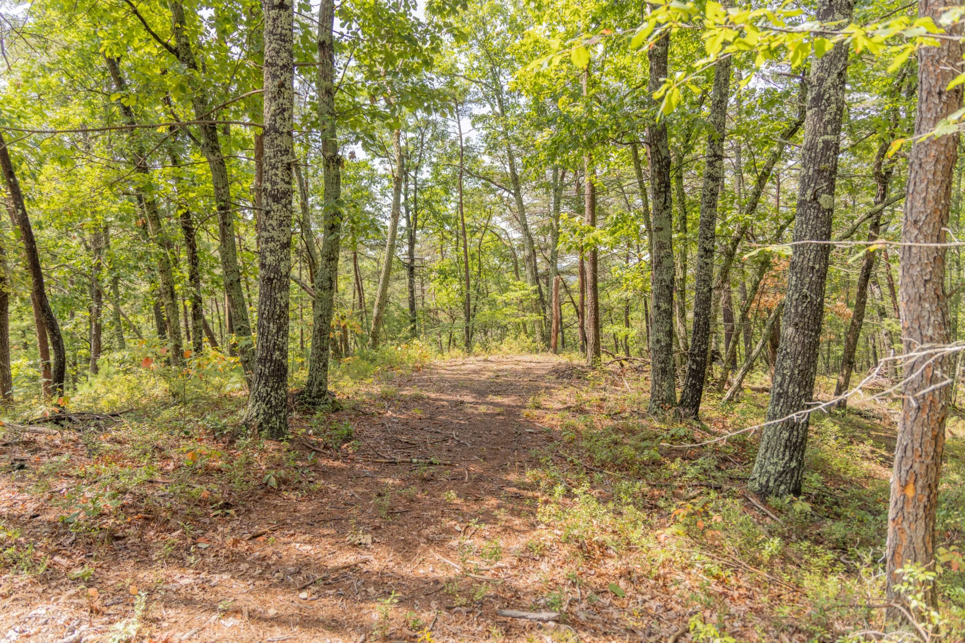 0 Crooked Spur Rd - Photo 22