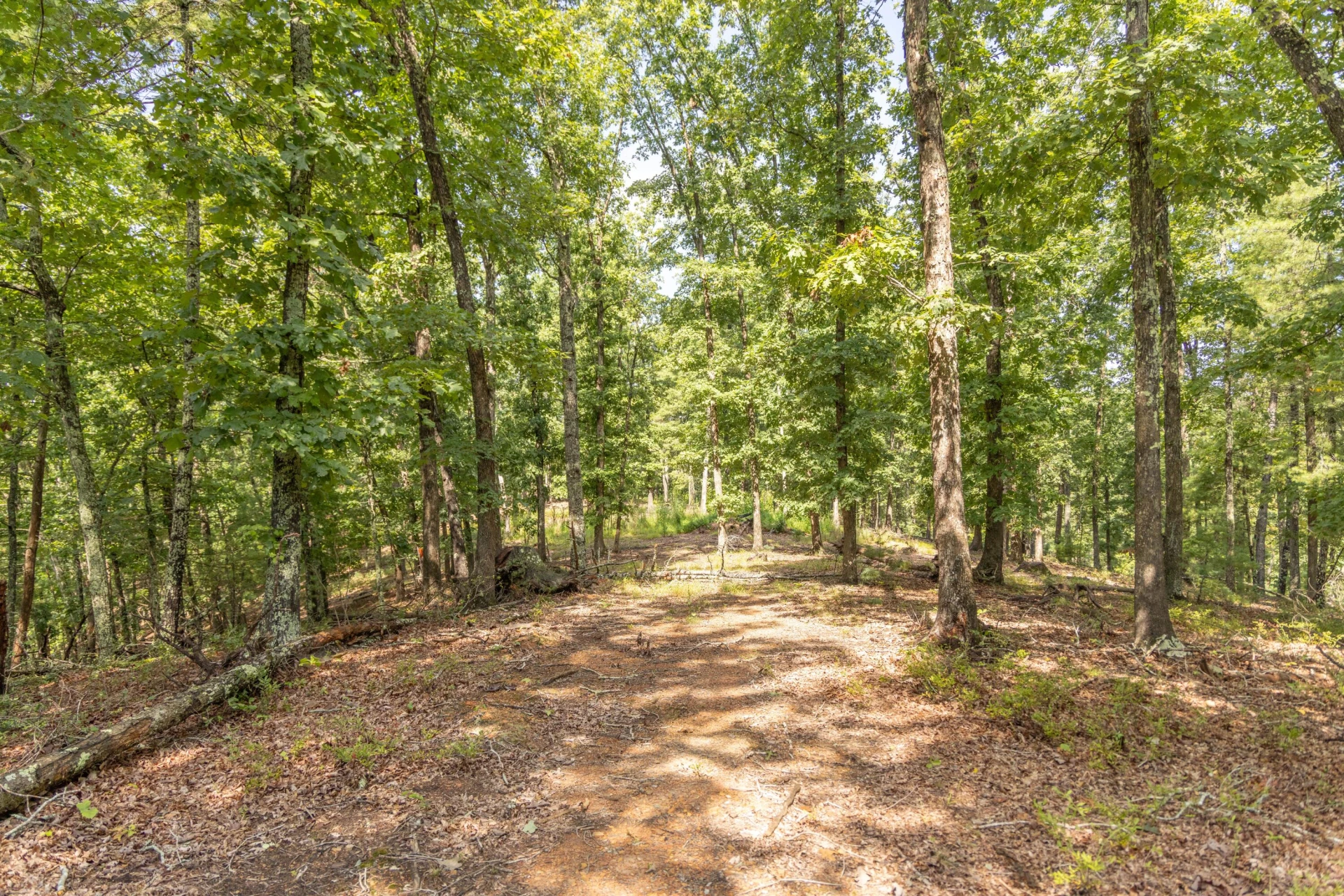 0 Crooked Spur Rd - Photo 23