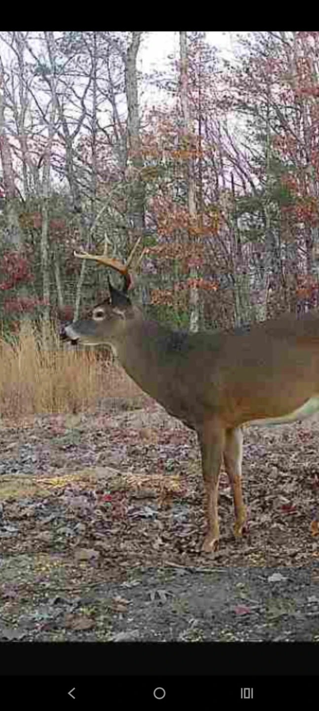 0 Crooked Spur Rd - Photo 25