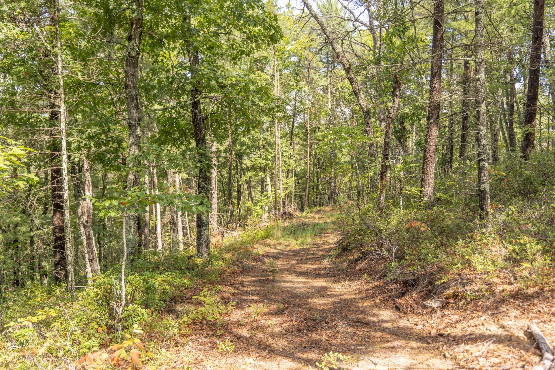 0 Crooked Spur Rd - Photo 27