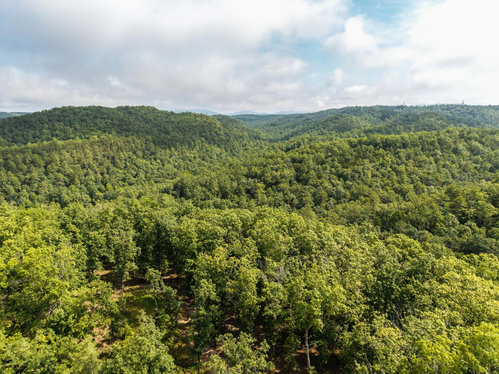 0 Crooked Spur Rd - Photo 29