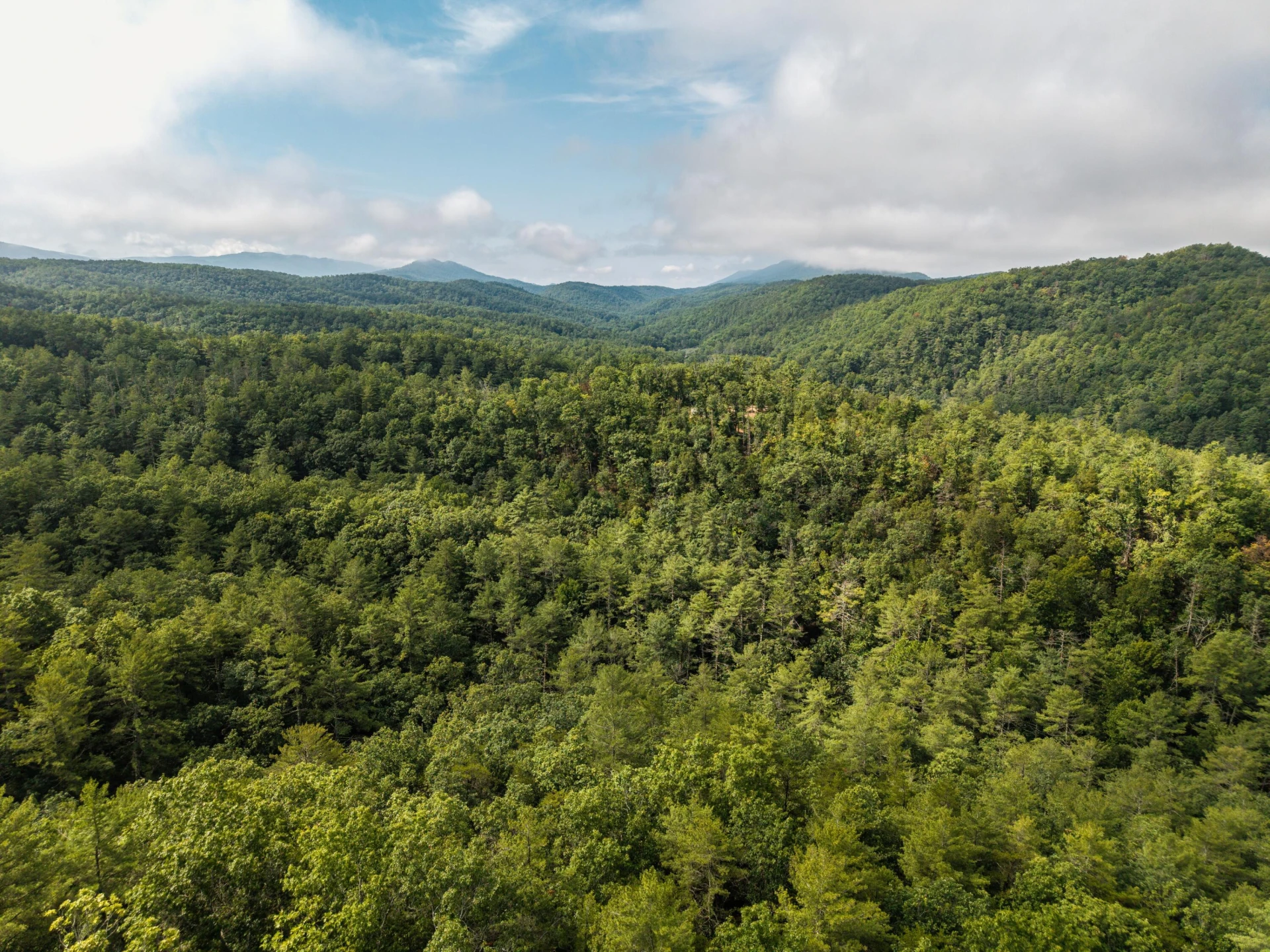 0 Crooked Spur Rd - Photo 30