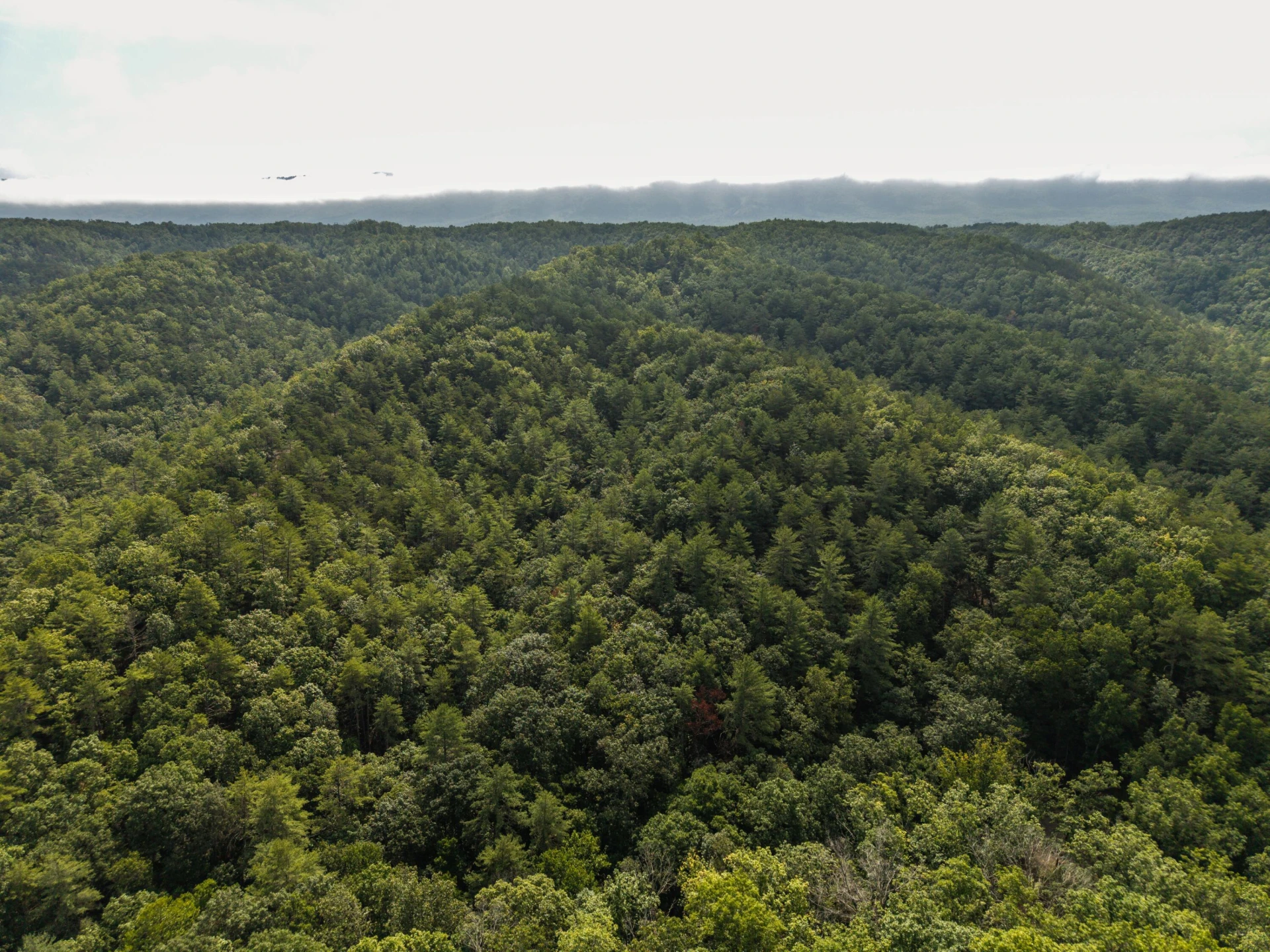 0 Crooked Spur Rd - Photo 31