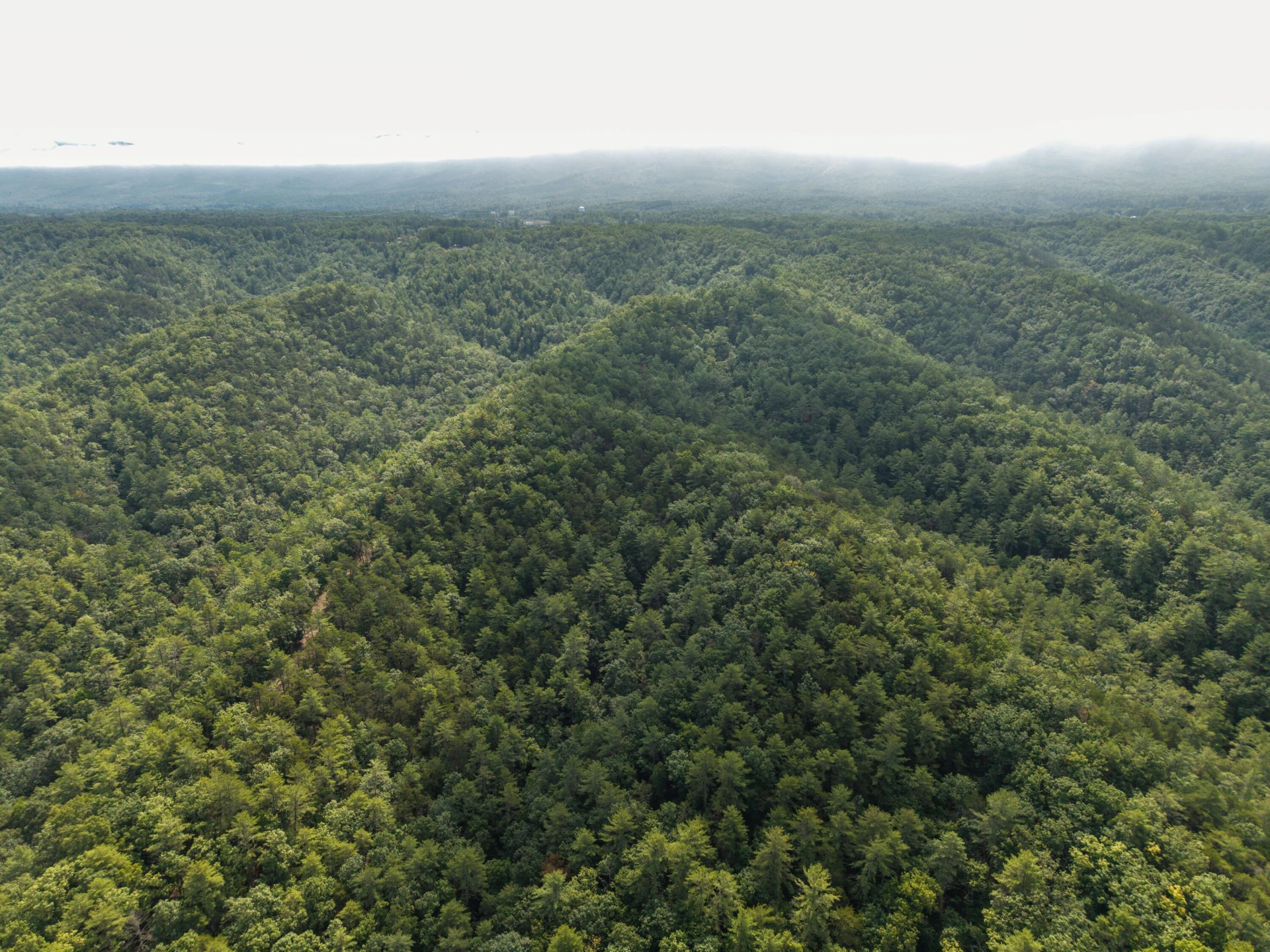 0 Crooked Spur Rd - Photo 32