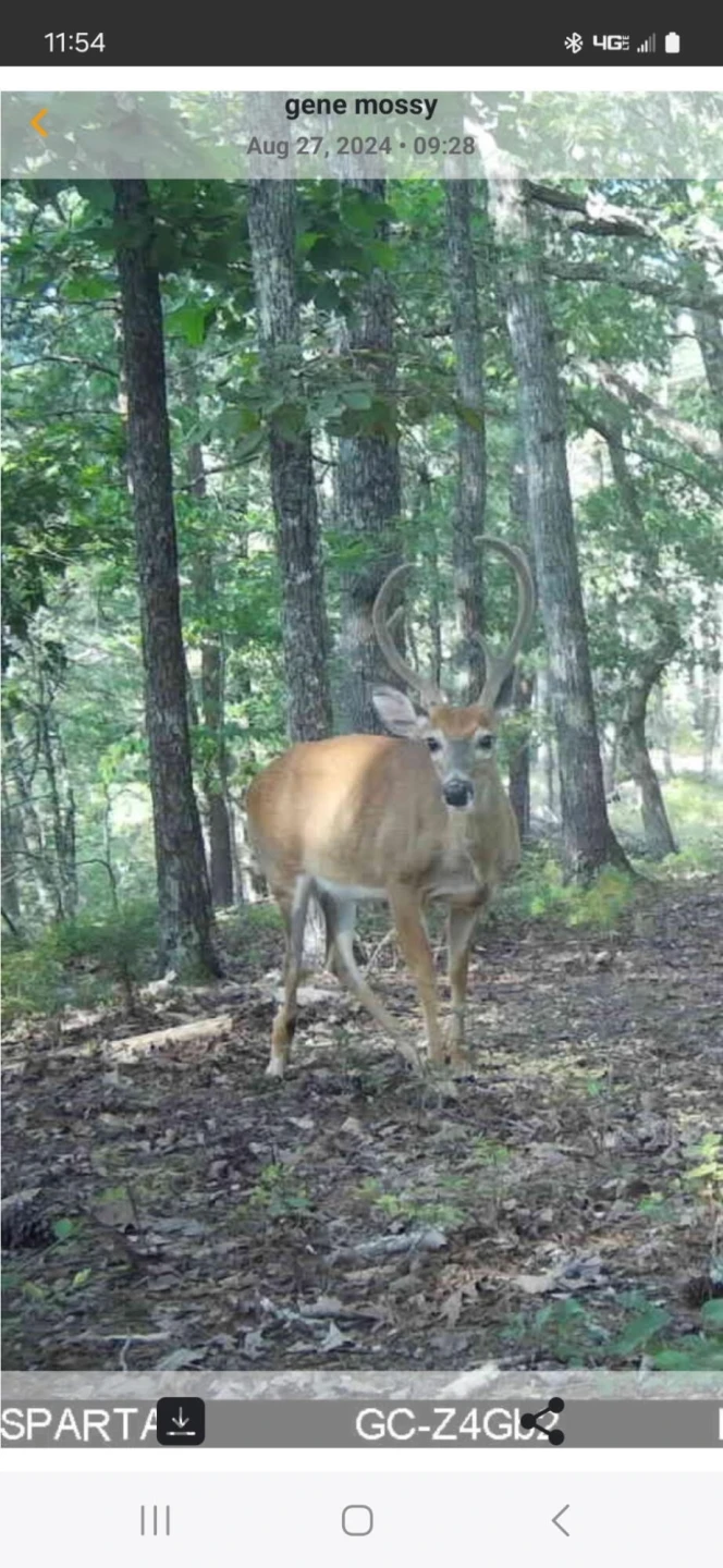 0 Crooked Spur Rd - Photo 34