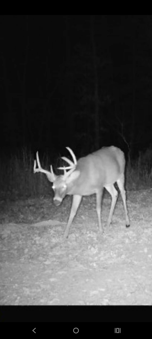 0 Crooked Spur Rd - Photo 35