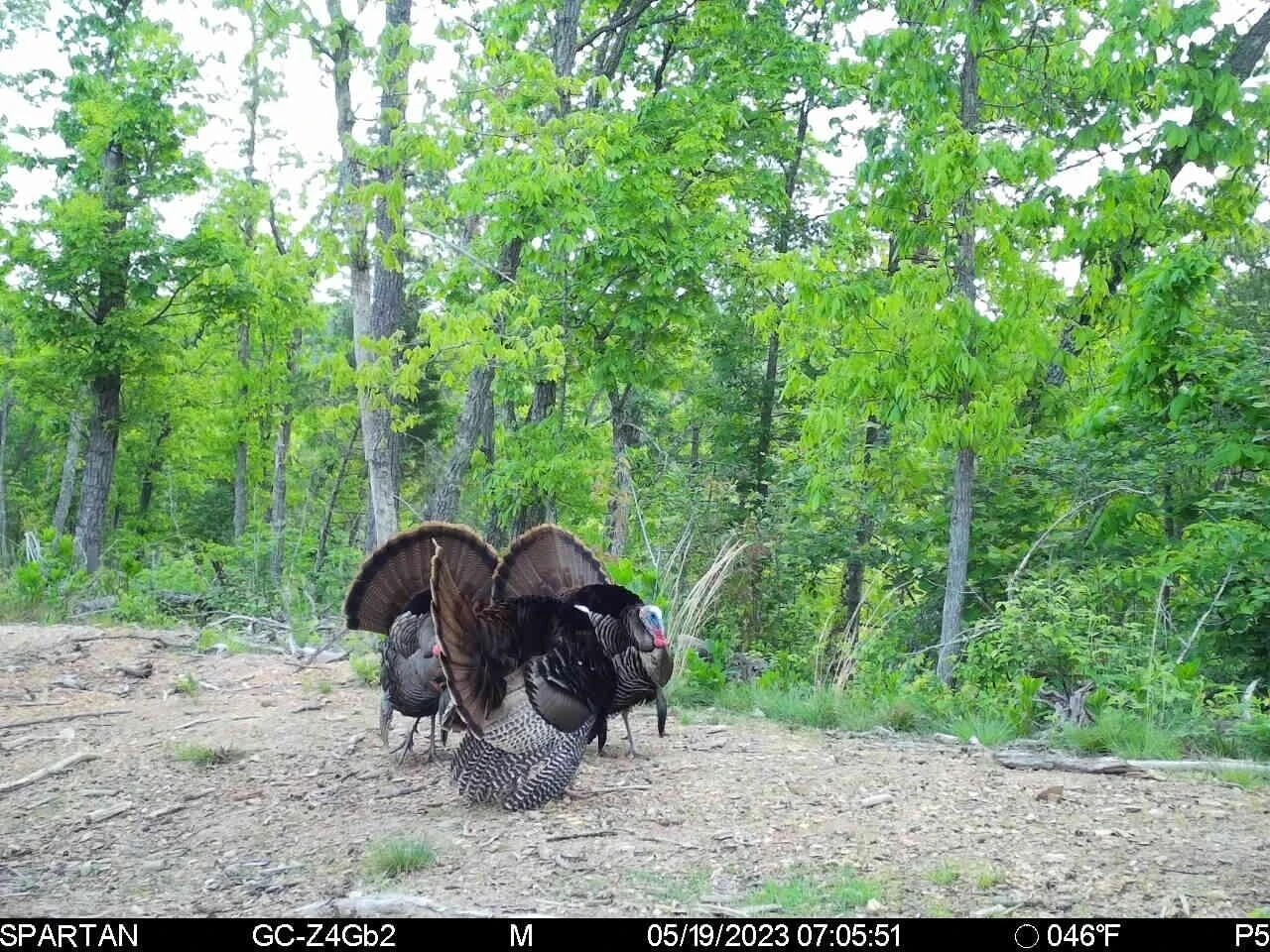 0 Crooked Spur Rd - Photo 37