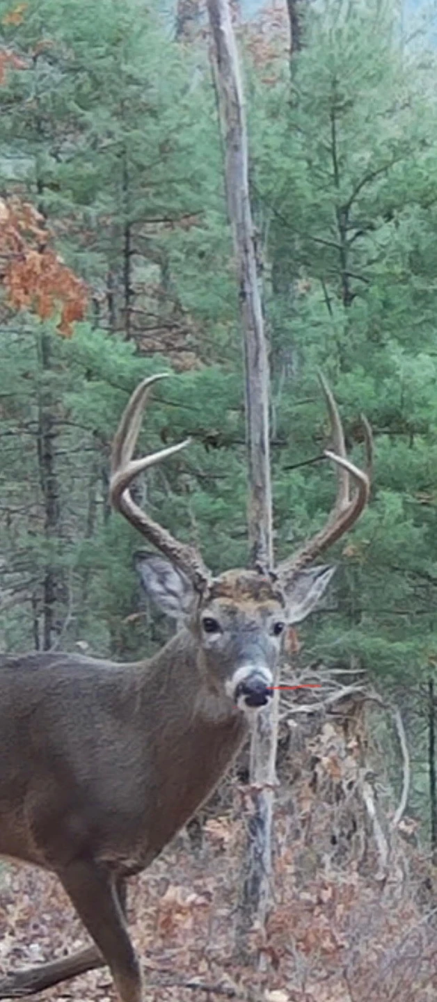 0 Crooked Spur Rd - Photo 38